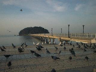 Cp0215.JPG (14155 �o�C�g)