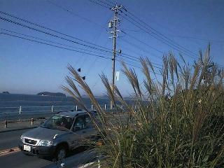 Cp0363.JPG (17562 �o�C�g)