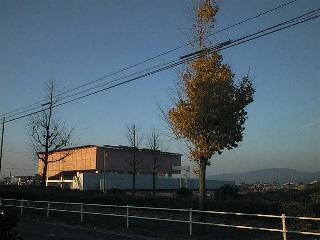 Cp0501.JPG (13864 �o�C�g)