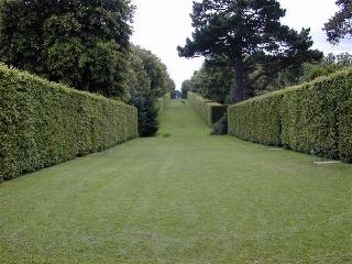 nc0001e.jpg (19960 ???)