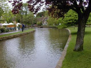 nc0004b.jpg (22742 ???)