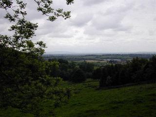 nc0013e.jpg (14113 ???)