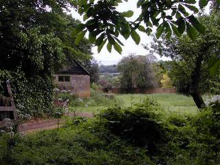 nc0017b.jpg (25314 ???)