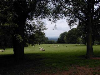 nc0275.jpg (17285 ???)