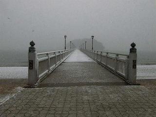 cp1103.JPG (12501 ???)