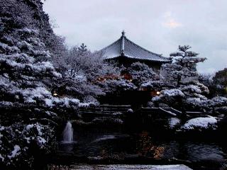 cp1251.JPG (20037 ???)