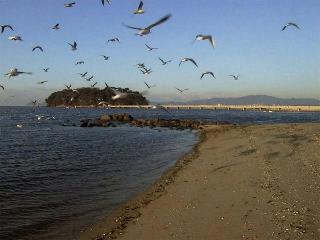 cp1506.JPG (12779 ???)